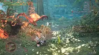 Monster Hunter Wilds　被弾王から脱出したい!!