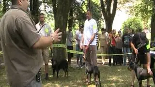 Национален Шампионат на Българските породи кучета 2