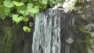 My trips: Romania, Ciungetu, Valea Latoritei, Lacul Petrimanu, Valcea, unedited 2015