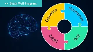 Paradise Behavioral Health Brain Well Program | Precision Psychiatry