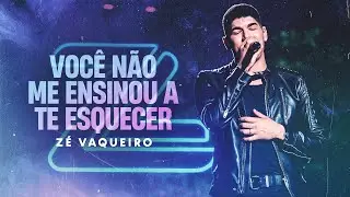 Zé Vaqueiro - VOCÊ NÃO ME ENSINOU A TE ESQUECER ZÉ VAQUEIRO (Video Oficial)