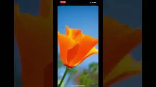| How to enable & test 3D Touch on iPhone |