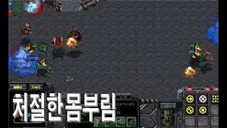 스타크래프트 유즈맵 - 록맨 에그제 대전쟁 4.0 (Darkloid 시점 플레이#3)
