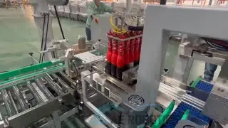 Six Axis Cobot Robot for Packing Stacking Sorting Conveyor