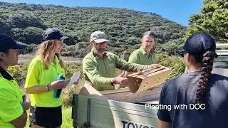 Oranga Wānanga