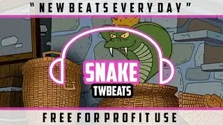 [FREE FOR PROFIT USE] Wavy Flow Flute Rap Beat 