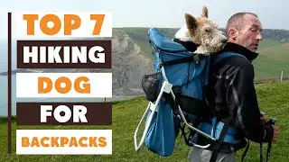 Top 7 Dog Carrier Backpacks for Hiking&mdash;Comfortable, Durable & Secure