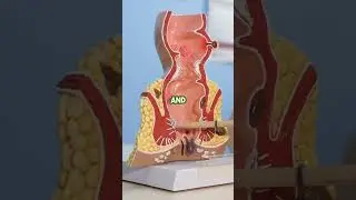 Benefits of Ayurveda for Pilonidal Sinus&nbsp; Ayurveda offers natural healing for pilonidal sinus by...