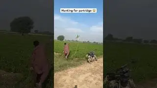 Hunting for partridge 😱#hunting #farming #hunter #partridgehunt