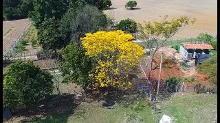 Vida na roça - Conhecendo lugares com Drone - Bairro Pinhal