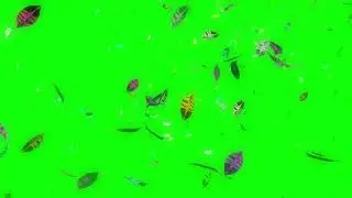 Leaves Falling Animation- Green Screen Effect