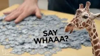 Insanely Hard Jigsaw Puzzle: The Krypt