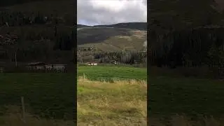 Iceland 🇮🇸 Golden Circle Tour