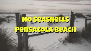 Visit Pensacola Beach for SEASHELLS ??