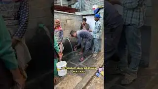 Манали &mdash; красивейшее место, окруженное 3-мя Гималайскими 6-тысячниками. Индия 🇮🇳