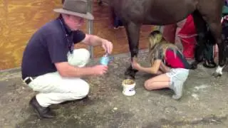 Applying Poultice
