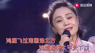 《鸿雁飞》敖都