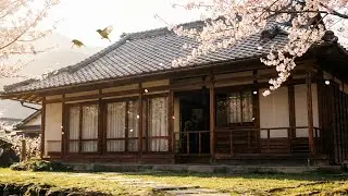 Spring Morning in Japan 🌸