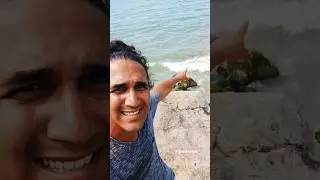 A hist&oacute;ria do tambaqui de &aacute;gua salgada kkk @jandersonopeixeiro