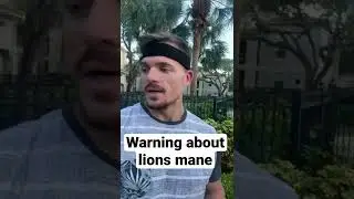 ￼￼lions mane warning