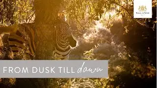 A World of Wellness | Val de Vie Estate