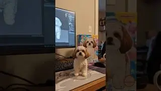 Gemini Ai image @leo-leo2022&hearts;️|#dog #cute #dogvideos #shortviral