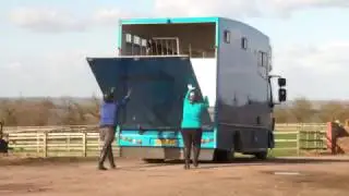 How to travel your horse safely | Your Horse