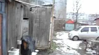 MOV04023