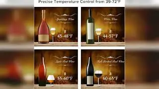 Review: Wine Cooler Countertop Freestanding Wine Cellars Compressor System Champagne Chiller D...