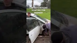 BIGFOOT BOGS THE 