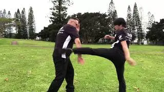 Bruce Lee - Richard Bustillo - Jun Fan Jeet Kune Do - covid-19 training day 8 part 2