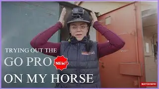 I try the NEW GO PRO HERO 11 on a HORSE!! - REVIEW AND FOOTAGE