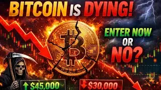 Bitcoin Market Crash 🚨🚨🚨Last Chance to Buy or Big Trap?🤔 Mac Tech Tamil 
