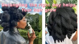 Easy, Painless Afro/Kinky Hair Detangling Tutorial