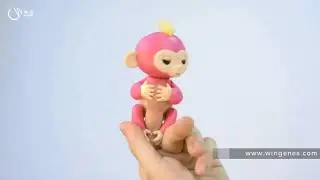 Fingerlings Factory - Will Speak And Inductive Finger Monkey Toys