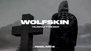 yelawolf type beat 2021 x caskey type beat (prod ray-b)