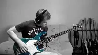 RHCP - Parallel Universe - bass cover