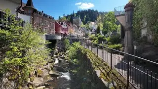 Urlaub im Schwarzwald 2025 - Teil 5