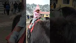 #yak ride🥰🥰#enjoying #youtubeshorts