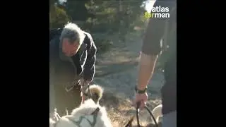 Balade Cani-Rando dans les Alpes | Le Vercors