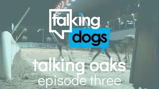 Talking Oaks Episode 3 - Monday 31st May 2021