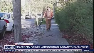 Seattle City Council votes to ban gas-powered leaf blowers | FOX 13 Seattle