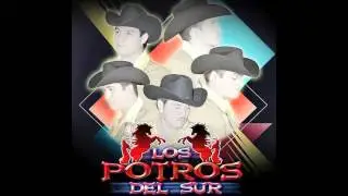 MIX POTROS DEL SUR