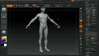 Zbrush Base Mesh