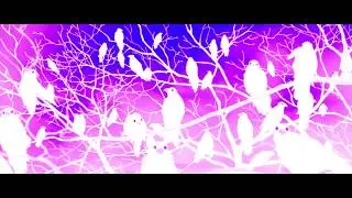 Kizumonogatari I: Tekketsu-hen |AMV| - 