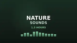 Calming Nature Sounds - 1 Hour Peaceful Ambience