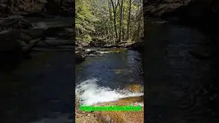 Message with view #Nature #vlog #foryou #water #travel #canada #ytshorts #fyp #travelvlog #yt