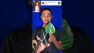 Pipal Patte Par Banayi Ladki ki Tasveer 😍 Leaf Art Magic #shorts #girlart #youtubeshorts #ytshorts