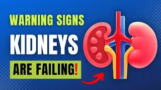 10 Signs Your Kidneys Are Crying For Help | (Kidney Disease) | MedEZY
