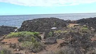Walking the Wild Coast of Tenerife 🌋🌊 | Playa El Banco → Punta Salema (Hidden Trails)